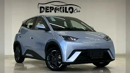 Foto de um byd dolphin mini