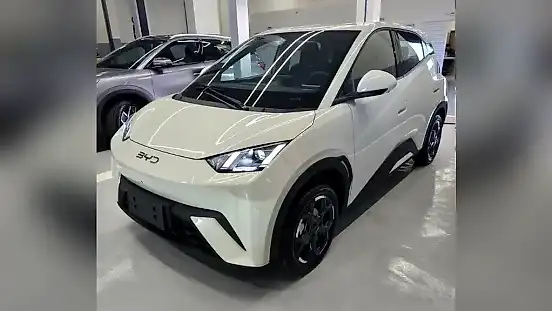 Foto de um byd dolphin mini