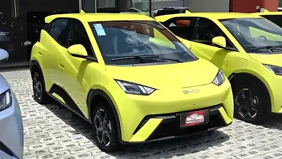 Foto de um byd dolphin mini
