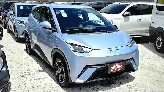 Foto de um byd dolphin mini