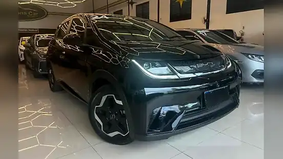 Foto de um byd dolphin