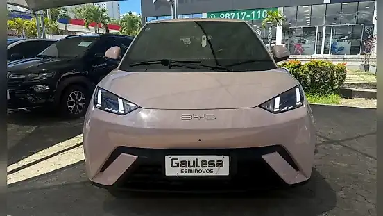 Foto de um byd dolphin mini