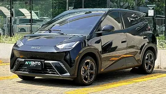 Foto de um byd dolphin mini