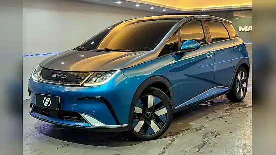 Foto de um byd dolphin