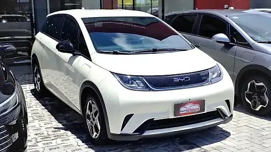 Foto de um byd dolphin