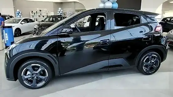 Foto de um byd dolphin mini