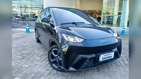 Foto de um byd dolphin mini