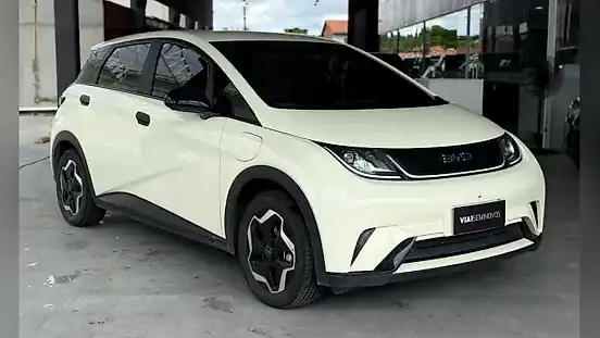 Foto de um byd dolphin