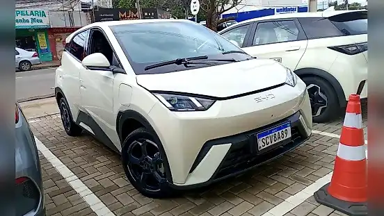 Foto de um byd dolphin mini