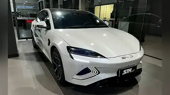 Foto de um byd seal