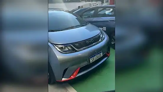 Foto de um byd dolphin