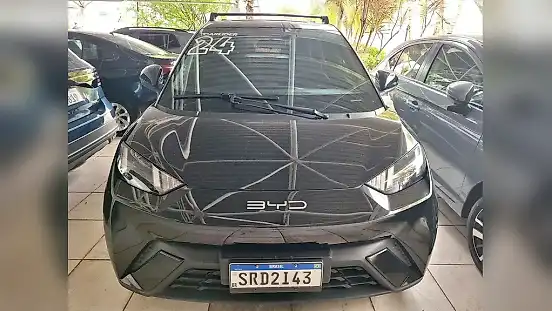 Foto de um byd dolphin mini