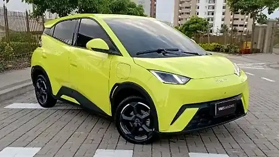 Foto de um byd dolphin mini