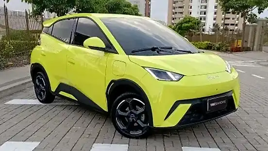 Foto de um byd dolphin mini