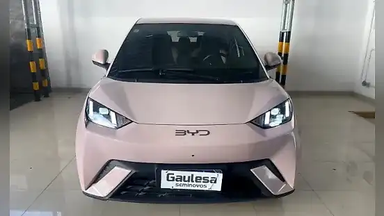Foto de um byd dolphin mini