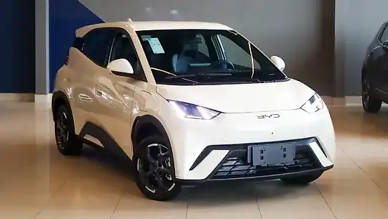 Foto de um byd dolphin