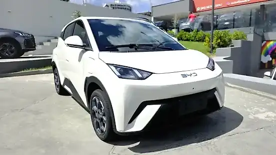 Foto de um byd dolphin mini
