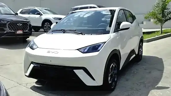Foto de um byd dolphin mini