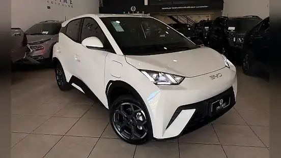 Foto de um byd dolphin mini