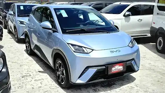 Foto de um byd dolphin mini
