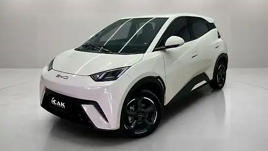 Foto de um byd dolphin