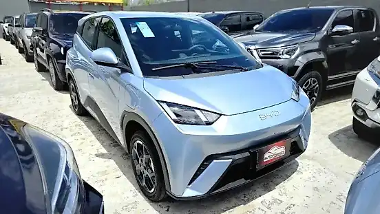 Foto de um byd dolphin mini