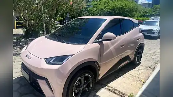 Foto de um byd dolphin mini