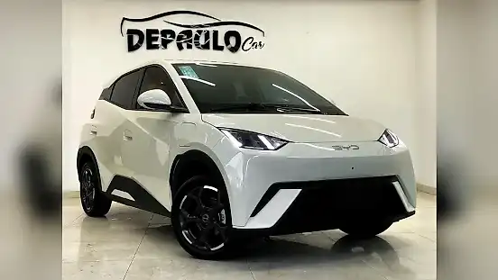 Foto de um byd dolphin mini