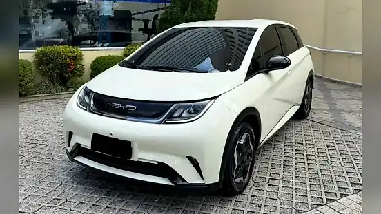 Foto de um byd dolphin