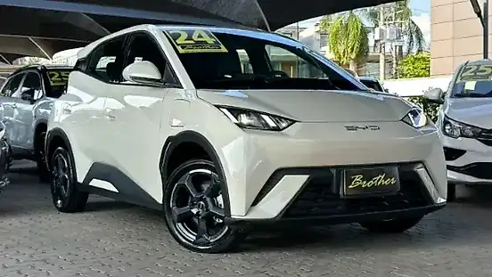 Foto de um byd dolphin mini