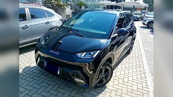 Foto de um byd dolphin mini