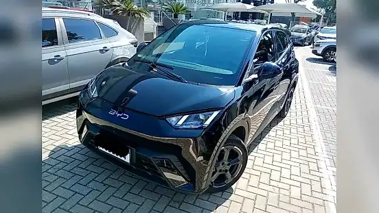 Foto de um byd dolphin mini