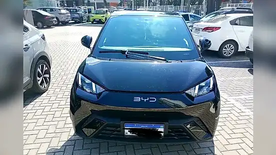 Foto de um byd dolphin mini