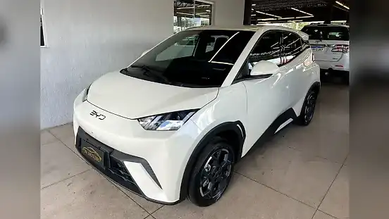 Foto de um byd dolphin mini