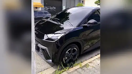 Foto de um byd dolphin mini