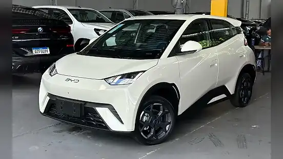 Foto de um byd dolphin mini