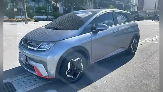 Foto de um byd dolphin