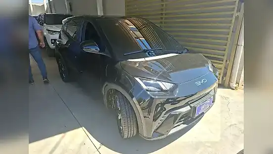 Foto de um byd dolphin mini