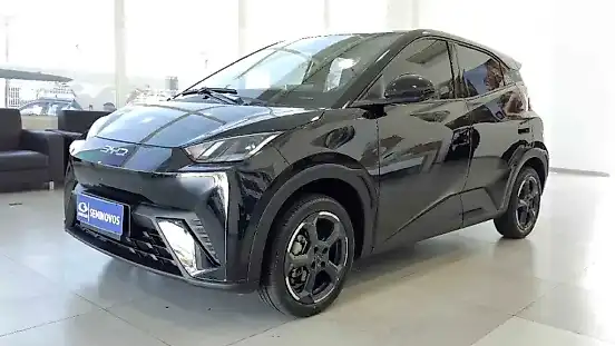 Foto de um byd dolphin mini