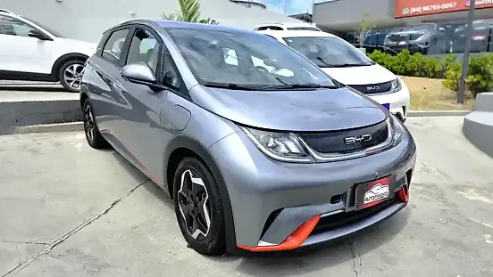 Foto de um byd dolphin