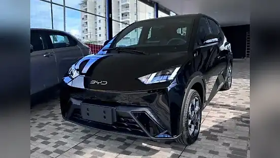 Foto de um byd dolphin mini
