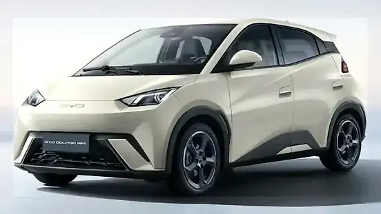 Foto de um byd dolphin