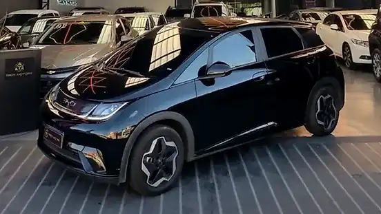 Foto de um byd dolphin