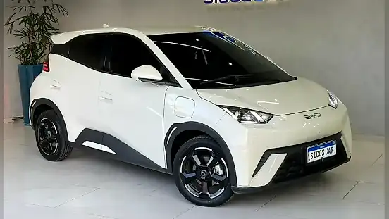 Foto de um byd dolphin mini