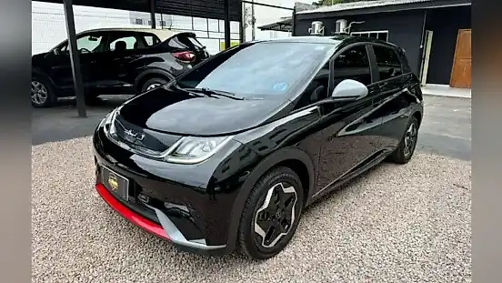 Foto de um byd dolphin