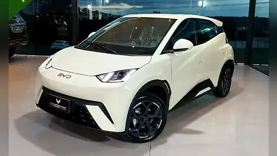 Foto de um byd dolphin mini