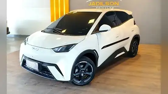 Foto de um byd dolphin mini