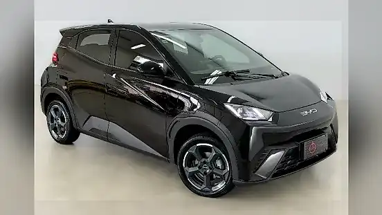 Foto de um byd dolphin mini