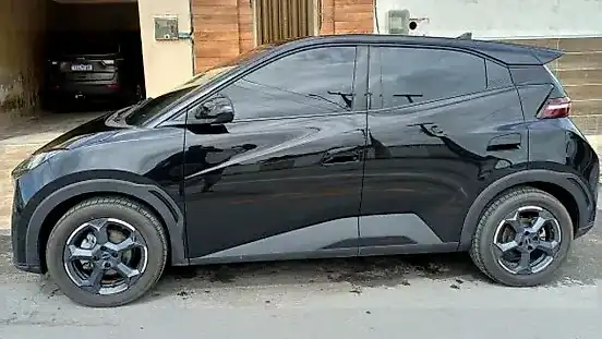 Foto de um byd dolphin mini