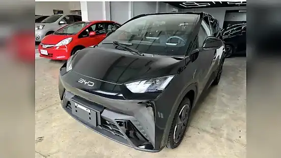 Foto de um byd dolphin